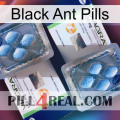 Black Ant Pills viagra5